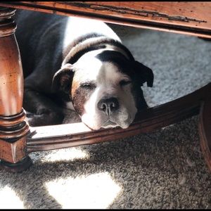 Meet your Posher, Andrew